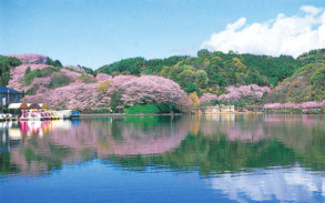 蓮華寺池公園