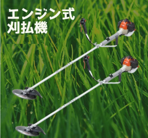 刈り払い機を使った除草作業