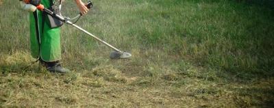 刈り払い機を使った除草作業