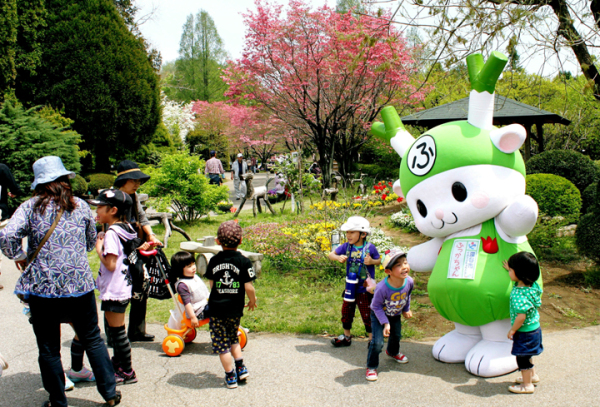 ふっかちゃんもお花見!