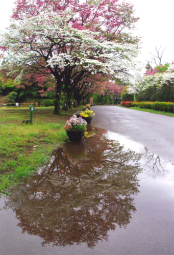 雨上がり