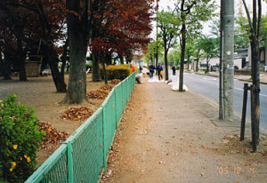 三島公園落ち葉清掃2