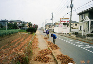 三島公園落ち葉清掃1