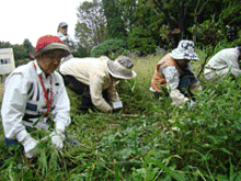 整備活動9月25日4