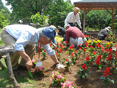 6月10日～12日ボランティア活動1