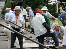 7月8日～10日ボランティア収穫体験3