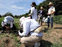 9月3日、4日開拓ボランティア活動2