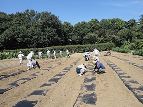 9月3日、4日開拓ボランティア活動1