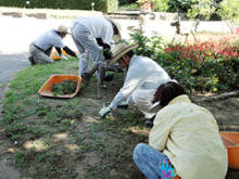 9月3日、4日開拓ボランティア活動4