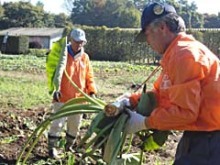 11月4日~6日ふかや村づくり1