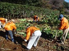 11月4日~6日ふかや村づくり2