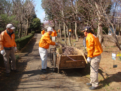 4月4日～5日園内整備1