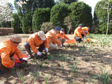 4月4日~5日園内整備4