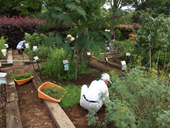 7月12日~14日除草作業2
