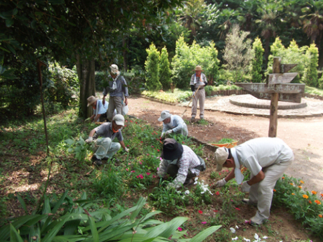 7月26日～28日 除草作業