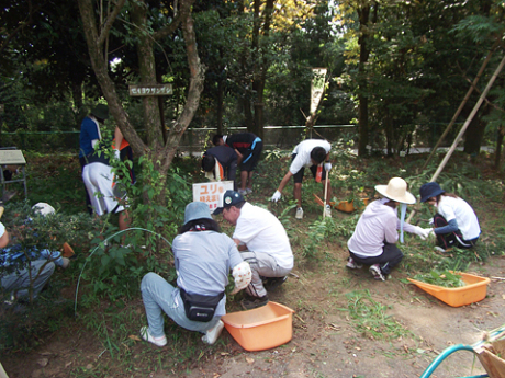 8月3～4日除草作業1