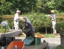 8月3～4日除草作業2