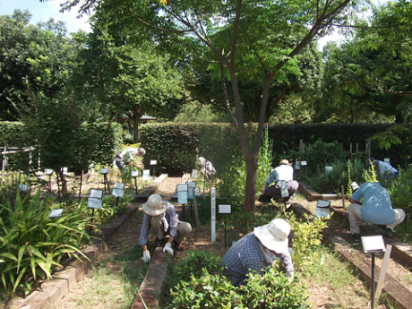 8月23日～25日除草作業1