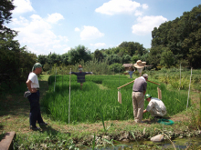 8月23日～25日除草作業2