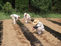 9月6日～8日除草作業、ふかや村4