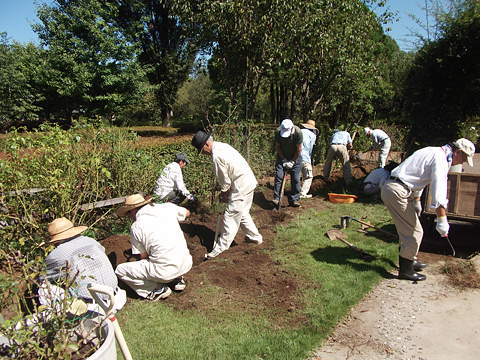 9月6日~8日除草作業、ふかや村2