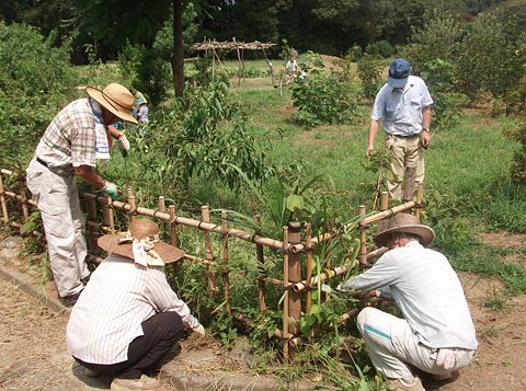 9月6日～8日除草作業、ふかや村1