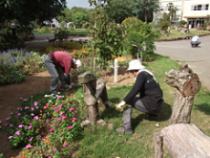 9月13日~15日除草作業3