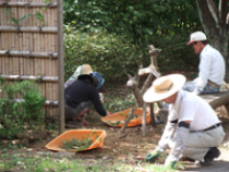 9月13日～15日除草作業4