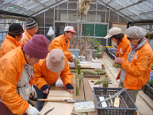 2月14日~16日園内整備・竹細工2