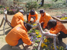 園内除草作業2