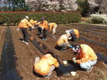 4月4日～5日ふかや村作業2