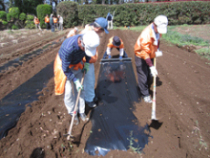 4月4日～5日ふかや村作業5