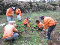 4月4日～5日ふかや村作業2