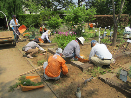 5月16日~17日園内整備1