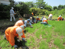 5月16日～17日園内整備2