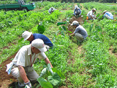 7月11日～12日ふかや村作業2