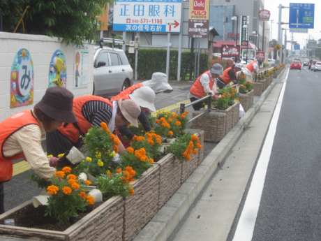 市民ガーデニングボランティア国道17号植栽1