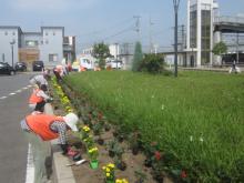 武川駅ロータリー植栽1
