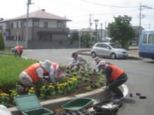 武川駅ロータリー植栽2
