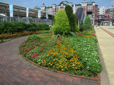 ステイションガーデン花がら摘みと除草1