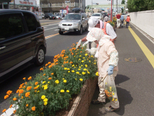 国道17号沿い花壇除草2