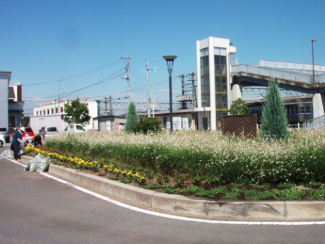 武川駅ロータリー花壇除草1