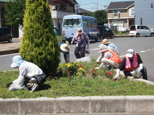 武川駅ロータリー花壇除草3