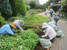 ステイションガーデン除草2