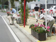 駅通り除草1