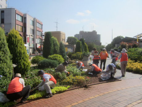 花がら摘み・除草1