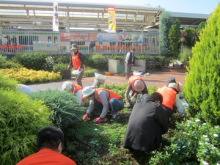 花がら摘み・除草2