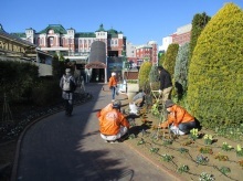 ステイションガーデン除草