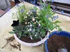 初夏の草花を使った寄せ植え教室