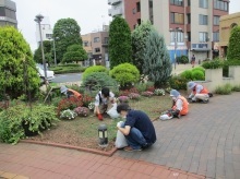 ステイションガーデン除草